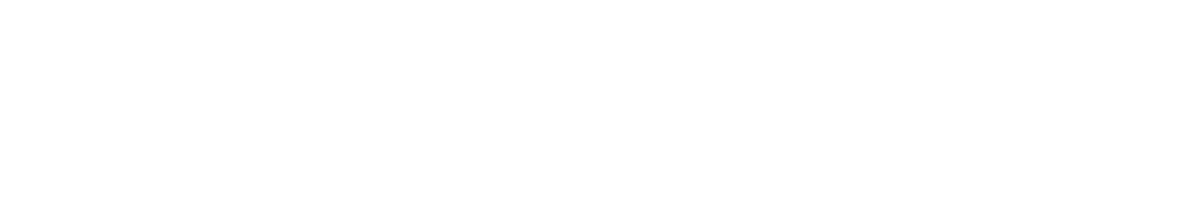 AI Nation