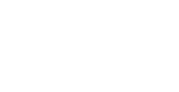 Red Bull Basement